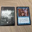 2022忘れた頃にMTG福袋その壱