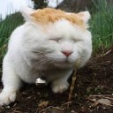 にてる・・・・