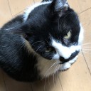 嫁さんと買い出し。