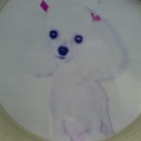 わんこの写真事情