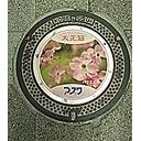 Ｇｏ　Ｔｏ　マンホール蓋　神戸市　その１６