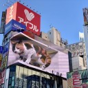 出張2日目