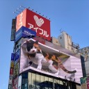 出張2日目