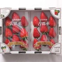 美味いイチゴ。色々食べたがこれが一番かな