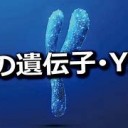 じゅうよう・・・・
