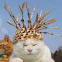 あたたかいのに・・・
