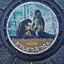 Ｇｏ　Ｔｏ　マンホール蓋　神戸市　その３５