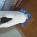 3月24日の日記