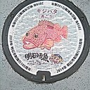 Ｇｏ　Ｔｏ　マンホール蓋　明石市　その１５