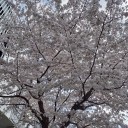 DN管理人さんに「日記が楽しく書ける日」はきたか？