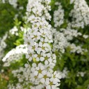 4月1日　DiaryNoteが停止した日