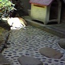 今日の