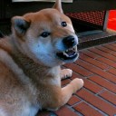 やっと一週間終わったああああああ