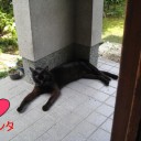 頑張りました！