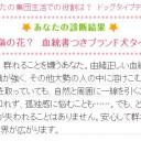 なんだか大当たり。