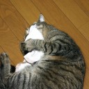 サイゼリヤ・・