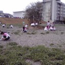 ドングリとクローバーと芝