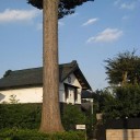 ｽｰﾂ生地選びは難しい