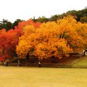閑谷学校の紅葉