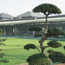 人材紹介会社への紹介