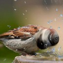 ５！怠けて見えたかい？そう聞いたら頷くかい？