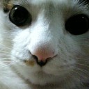 おじいさんと三角顔犬。