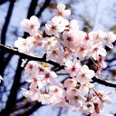 移転のお知らせ