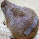 いまから