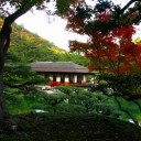 水曜〓また紅葉〓