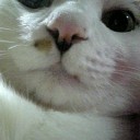 子供ナシ料理デキズ。