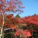 かまくら散歩