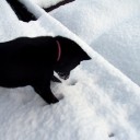 積雪というもの