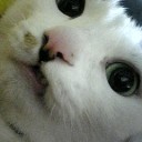 金額のおさらい。