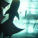 早起きは