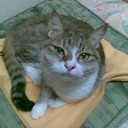 明日から一人。