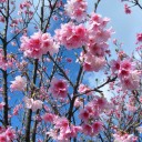 この日差しと青空をしみじみと