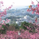 この日差しと青空をしみじみと