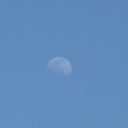 昼間に流れ星！？