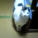 心配ばかりかける子①