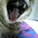 心配ばかりかける子②