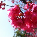 火曜〓春はすぐそこ〓