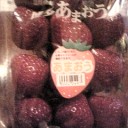 36歳になってました。