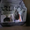 なんだかおかしいけどがんばってみる。
