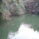 鳥居の合間に