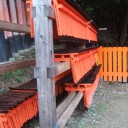 鳥居の合間に