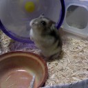 とりあえずひとことふたこと