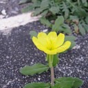 なんとな～く、だけどさー・・・金曜の夜って、なんだか落ちるわ～