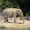 天王寺動物園
