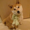 水曜日