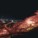 オレンジ